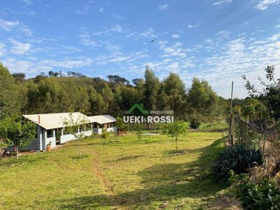 Sítio, 3 quartos, 20 hectares - Foto 2