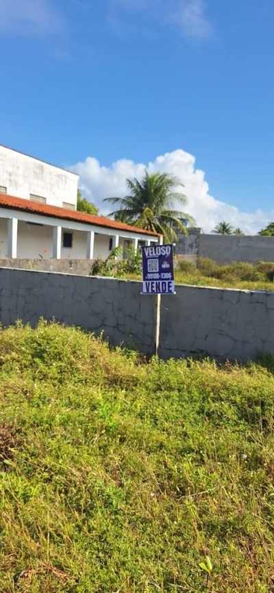 Terreno - Foto 1