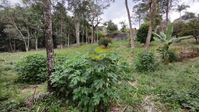 Terreno, 2000 m² - Foto 5