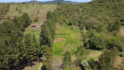 Chácara, 2 hectares - Foto 2