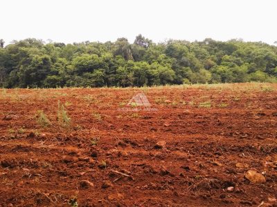 Fazenda, 40 hectares - Foto 4
