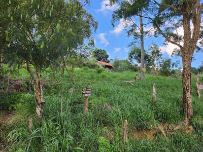 Terreno, 300 m² - Foto 3