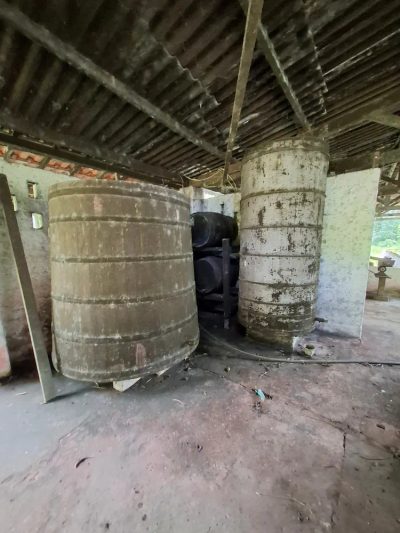 Sítio, 37 hectares - Foto 4