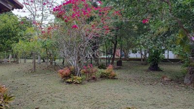 Chácara, 2 quartos, 4585 m² - Foto 5