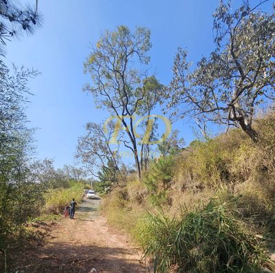 Terreno - Foto 2