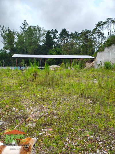 Terreno, 5700 m² - Foto 3