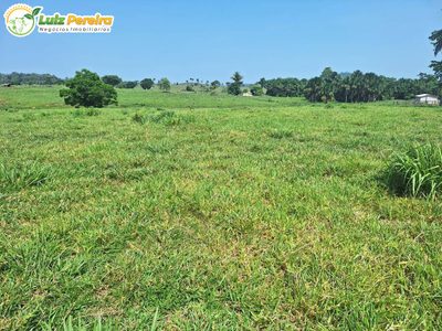 Terreno, 4780 m² - Foto 4