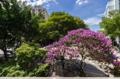 Apartamento, 2 quartos, 76 m² - Foto 4