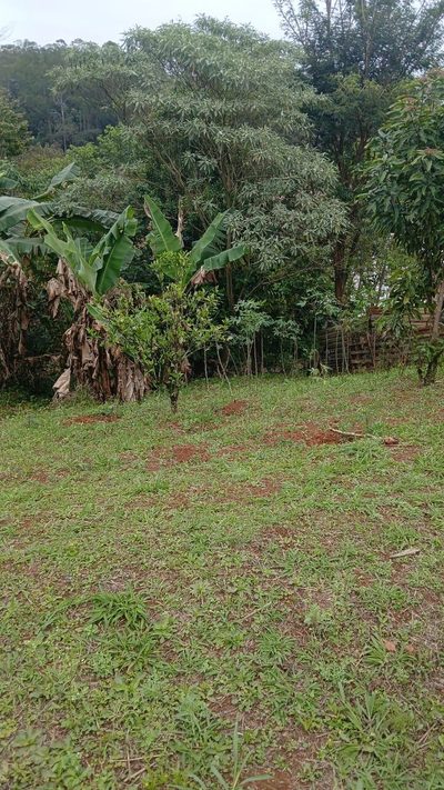 Terreno - Foto 2