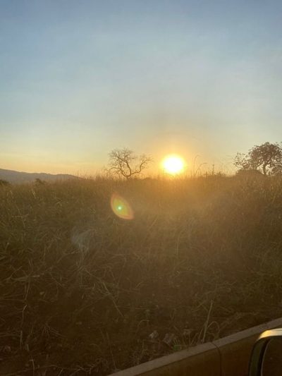 Terreno, 1000 m² - Foto 3