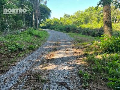 Terreno, 2 hectares - Foto 3