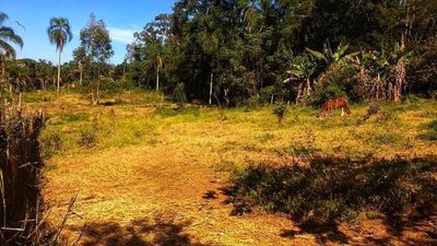 Terreno, 6066 m² - Foto 1