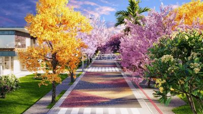 Terreno, 250 m² - Foto 2