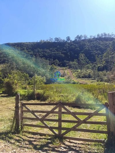 Terreno, 4 hectares - Foto 1