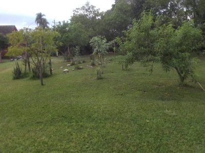 Terreno, 6 hectares - Foto 5
