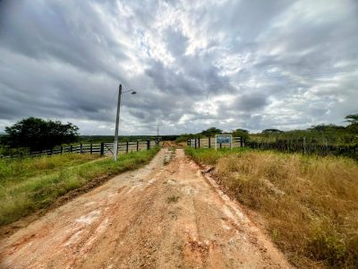 Terreno, 5000 m² - Foto 5