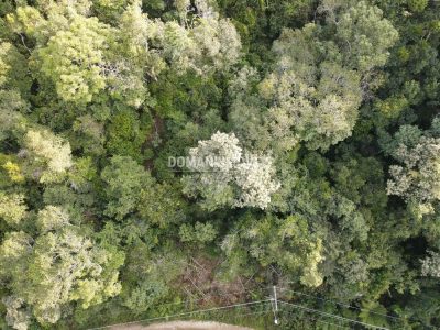 Terreno, 1030 m² - Foto 3
