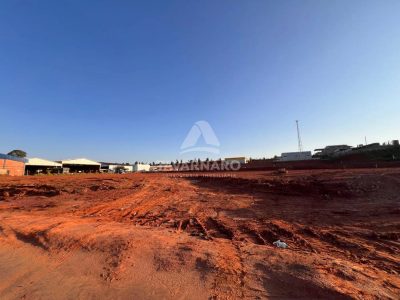 Depósito-Galpão, 4959 m² - Foto 5