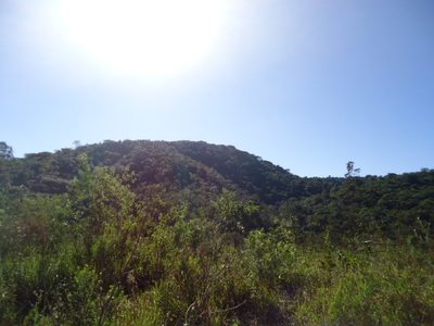 Terreno, 220 m² - Foto 4