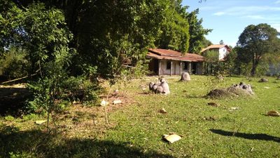 Terreno, 5000 m² - Foto 1