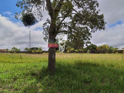 Terreno, 2000 m² - Foto 4