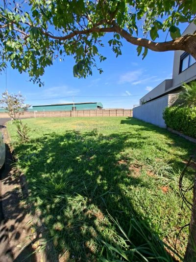 Terreno, 584 m² - Foto 3
