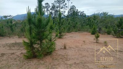 Terreno, 449 m² - Foto 4