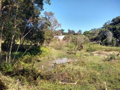 Terreno, 4000 m² - Foto 2