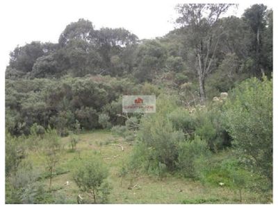 Fazenda, 1 hectares - Foto 2