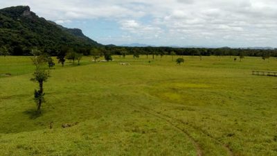 Fazenda, 290 hectares - Foto 2