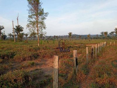 Fazenda, 600 hectares - Foto 2