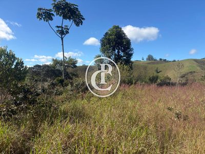 Sítio, 4 quartos, 200 m² - Foto 4