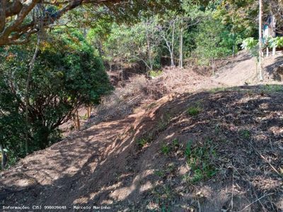 Terreno, 2 hectares - Foto 3