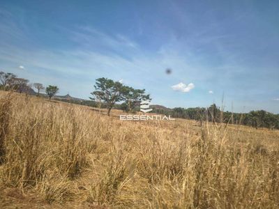 Fazenda, 2500 hectares - Foto 3