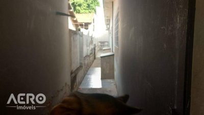 Casa, 3 quartos, 300 m² - Foto 4