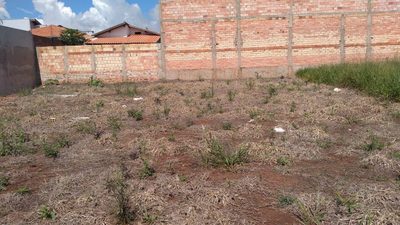 Terreno, 200 m² - Foto 1