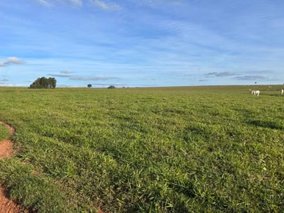 Fazenda, 560 m² - Foto 2