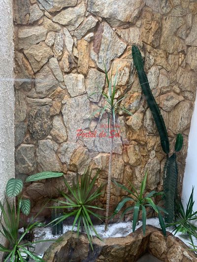Sobrado, 4 quartos - Foto 5