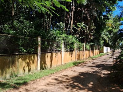Sítio, 2 quartos, 2000 m² - Foto 3
