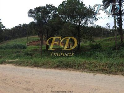 Terreno, 4 hectares - Foto 3
