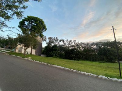 Terreno - Foto 3