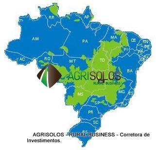 Terreno, 10000 m² - Foto 2