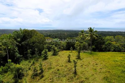 Fazenda, 32 hectares - Foto 4