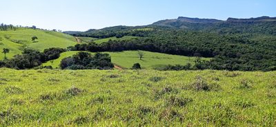 Chácara, 1 quarto - Foto 2