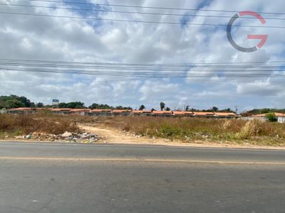 Terreno, 10000 m² - Foto 4