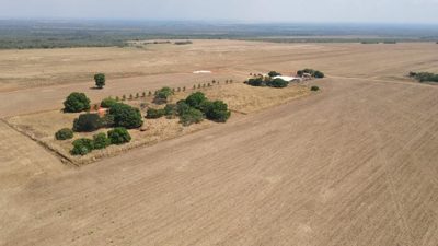 Fazenda, 2005 hectares - Foto 2