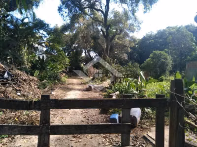 Terreno, 10000 m² - Foto 3