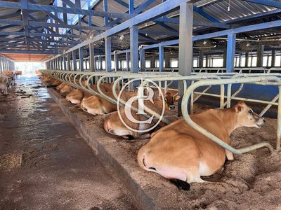 Fazenda, 55 m² - Foto 1