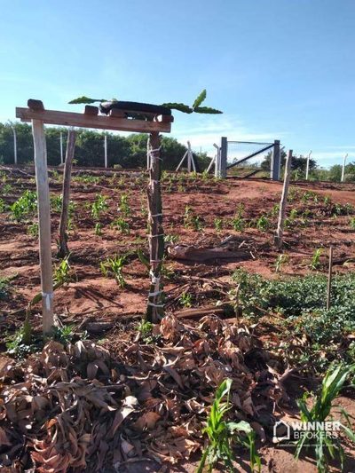 Chácara, 1 quarto, 2 hectares - Foto 3