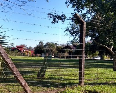 Terreno, 2000 m² - Foto 2